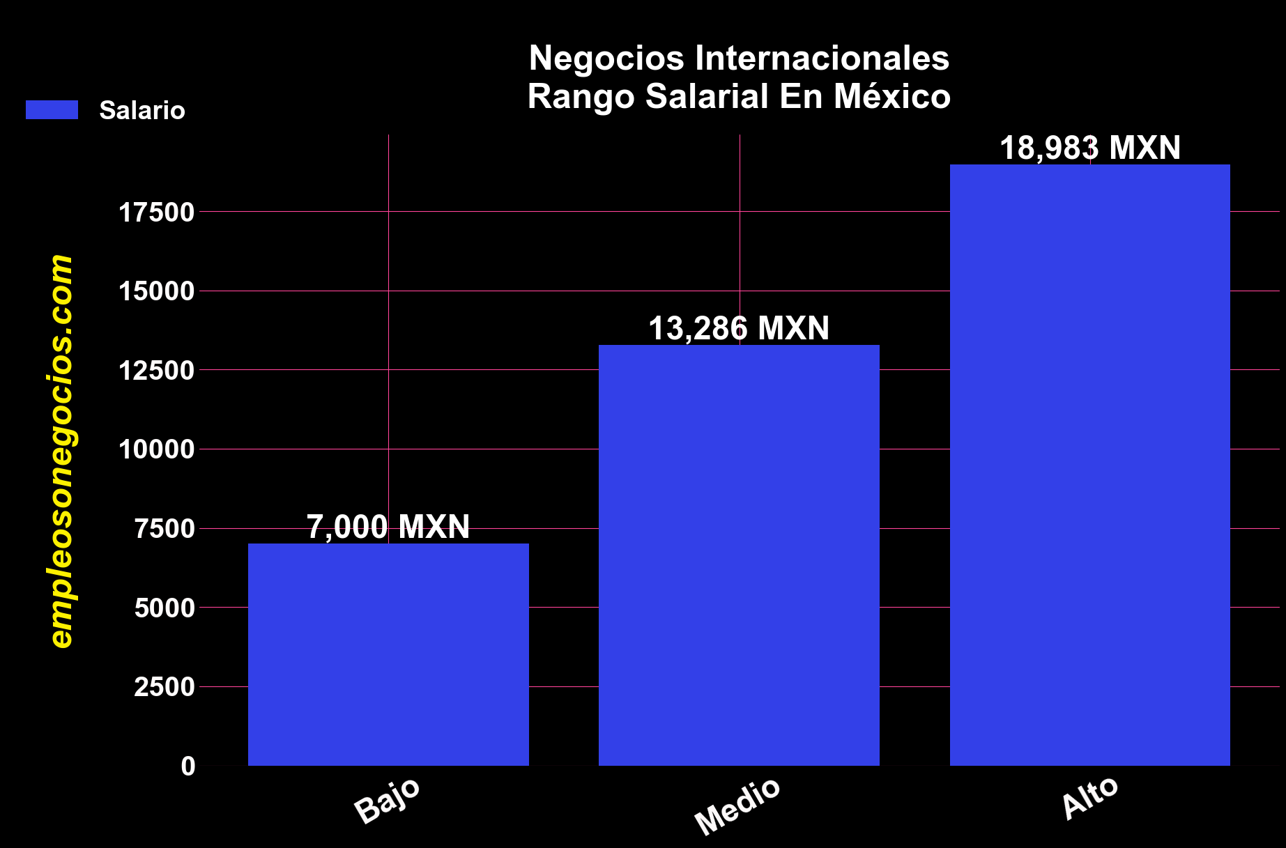 negocios internacionales sueldo en México